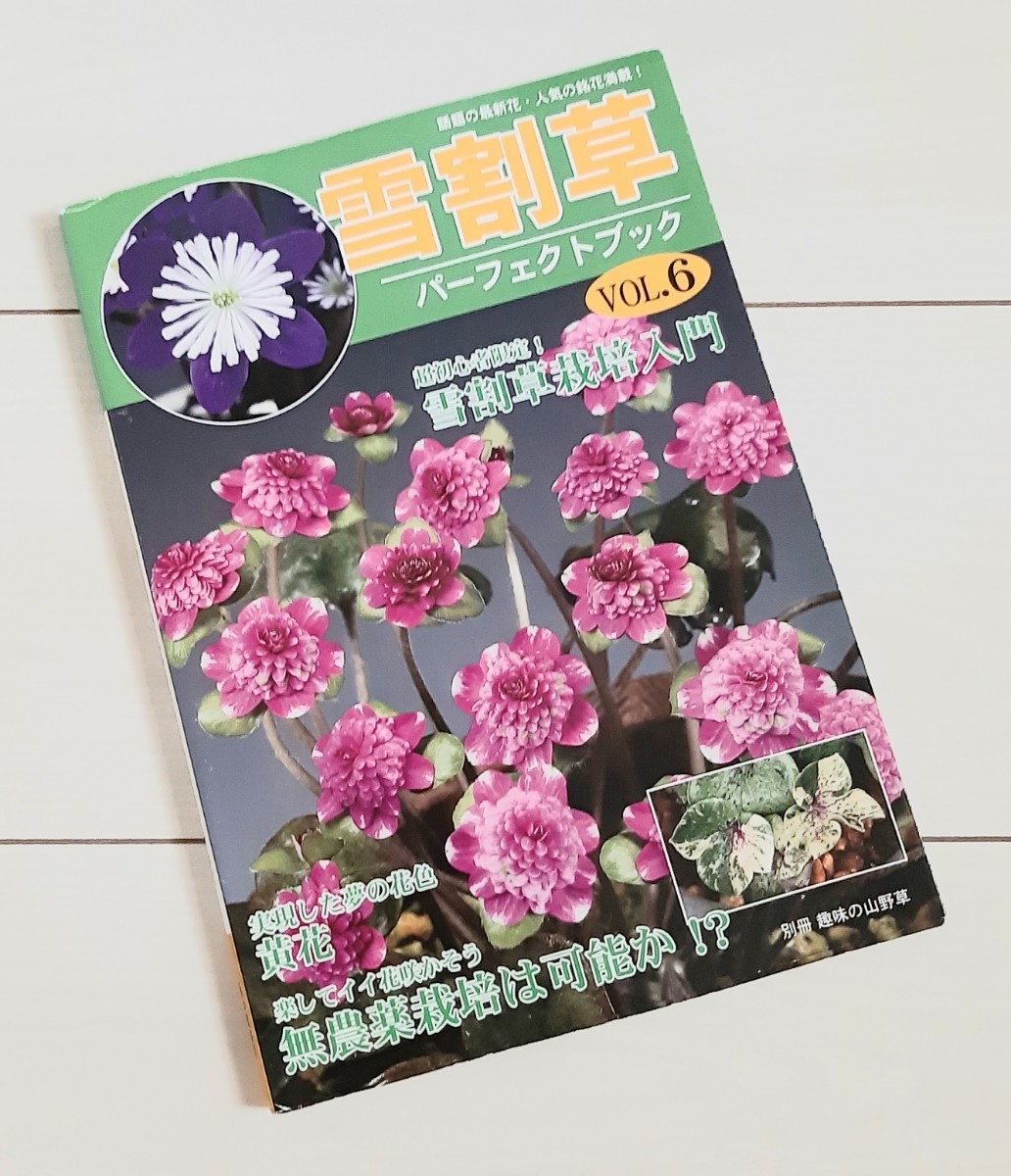  snow break up . Perfect book vol.6 super beginner limitation! snow break up . cultivation introduction dream. flower color * yellow flower less pesticide cultivation is possible ( separate volume hobby. fields and mountains grass )