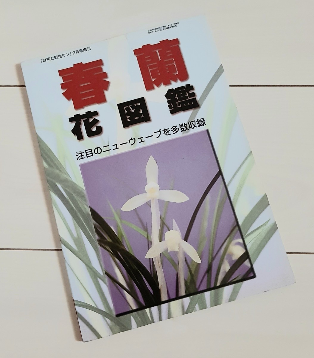 春蘭花図鑑 自然と野生ラン2月号増刊_画像1