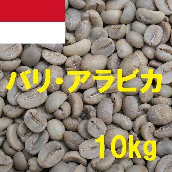 コーヒー生豆　バリ・アラビカ　10kｇ　送料無料　グリーンビーンズ