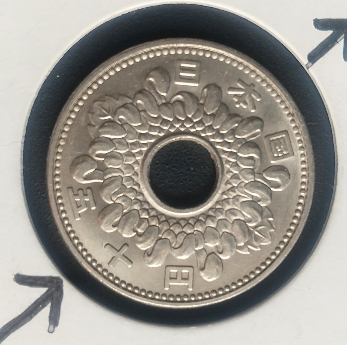 4040エラー銭 穴ズレ昭和39年大型菊50円硬貨_画像2