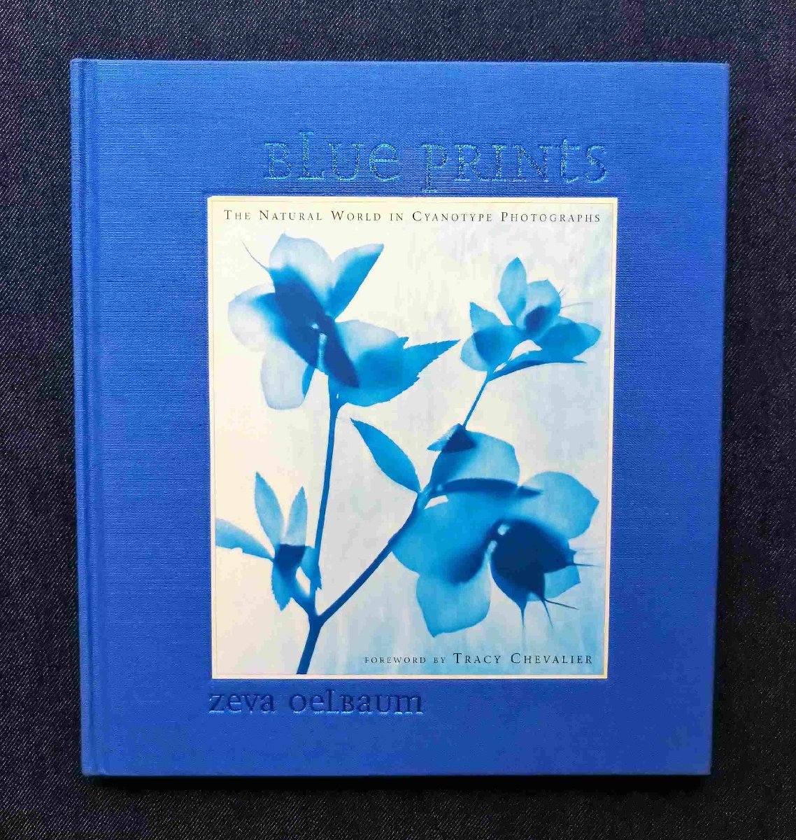 Zeva Oelbaum Blue Prints サイアノタイプ 洋書写真集 植物標本 ブループリント The Natural World in Cyanotype Photographs