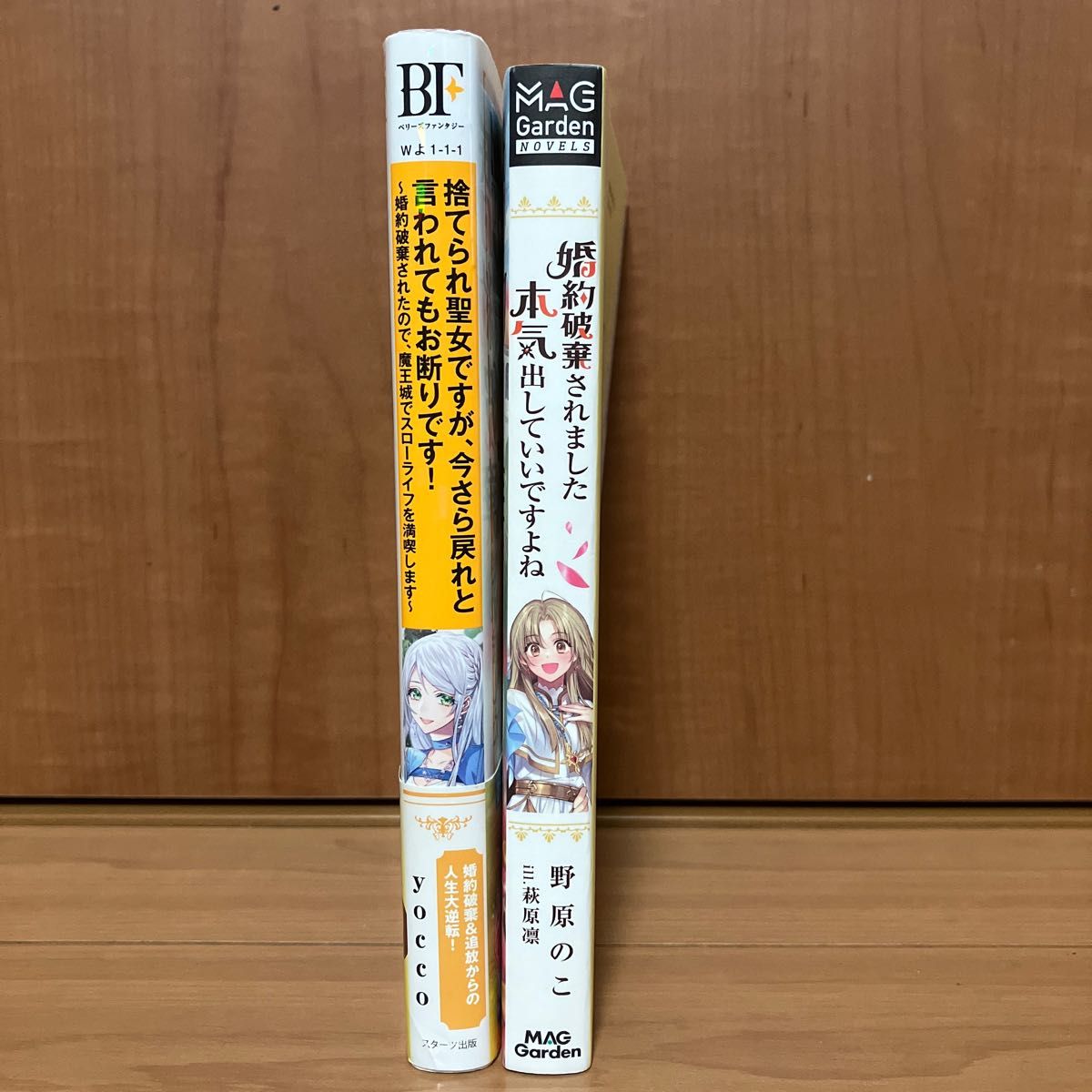 捨てられ聖女ですが、今さら戻れと言われてもお断りです!    婚約破棄されましたよ本気出していいですよね