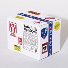 Up ＆ Down 通常盤 中古 CD_画像1