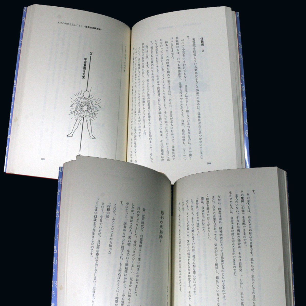 新説 阿頼耶識瞑想術 あなたの願望を叶える阿頼耶識の正体とは？ 無能唱元:著 簡易坐法瞑想術 仰臥瞑想 養生瞑想 一字観法 祈願達成法_　隻我の声如価?　