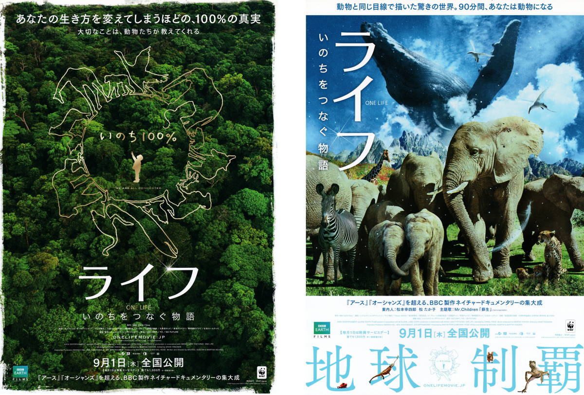  movie leaflet [ life -.. ..... monogatari -](2011 year ) 2 kind 