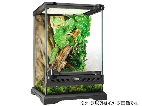 GEX glass terrarium nano PT2601 reptiles amphibia supplies reptiles supplies jeks including in a package un- possible free shipping 