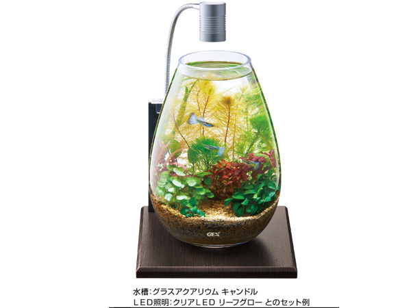GEX グラスベース エボニー200 熱帯魚 観賞魚用品 水槽 水槽台 ジェックス_画像2