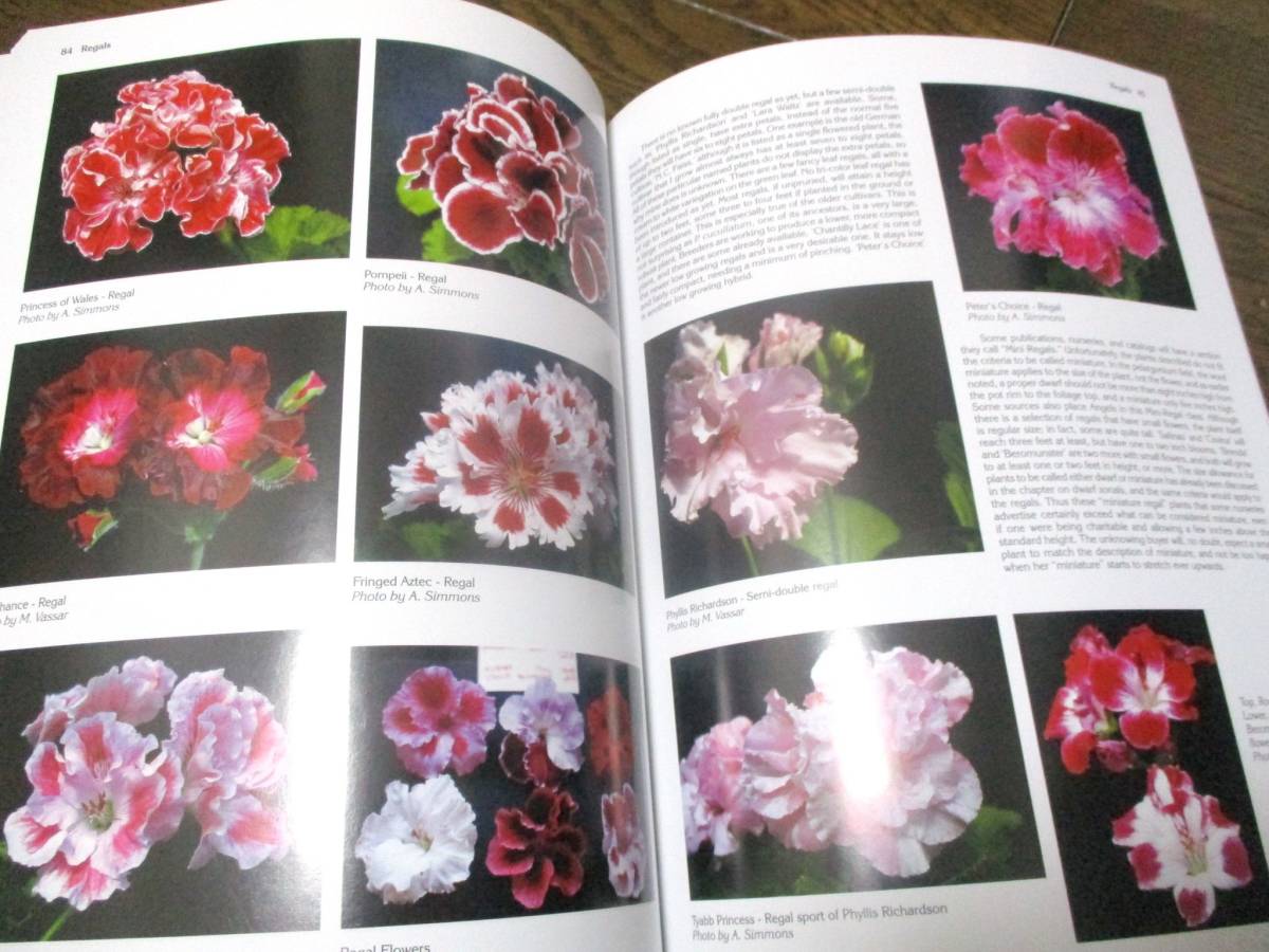  geranium complete lexicon [ free shipping hard-to-find ]* foreign book color photoalbum Geranium ton axis AOI .gelanium