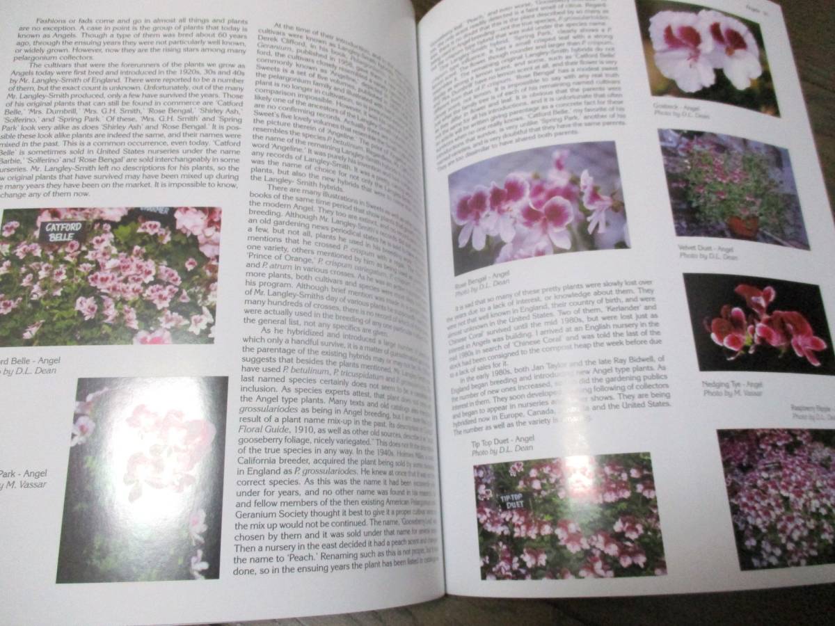  geranium complete lexicon [ free shipping hard-to-find ]* foreign book color photoalbum Geranium ton axis AOI .gelanium