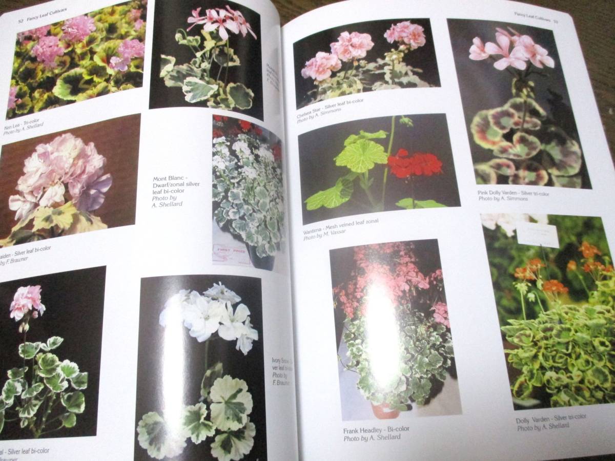  geranium complete lexicon [ free shipping hard-to-find ]* foreign book color photoalbum Geranium ton axis AOI .gelanium