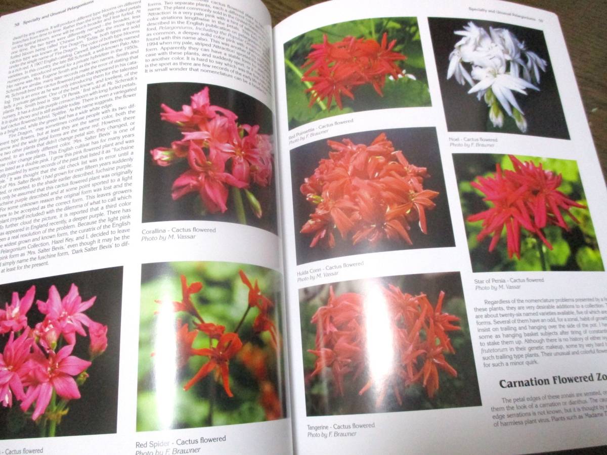  geranium complete lexicon [ free shipping hard-to-find ]* foreign book color photoalbum Geranium ton axis AOI .gelanium