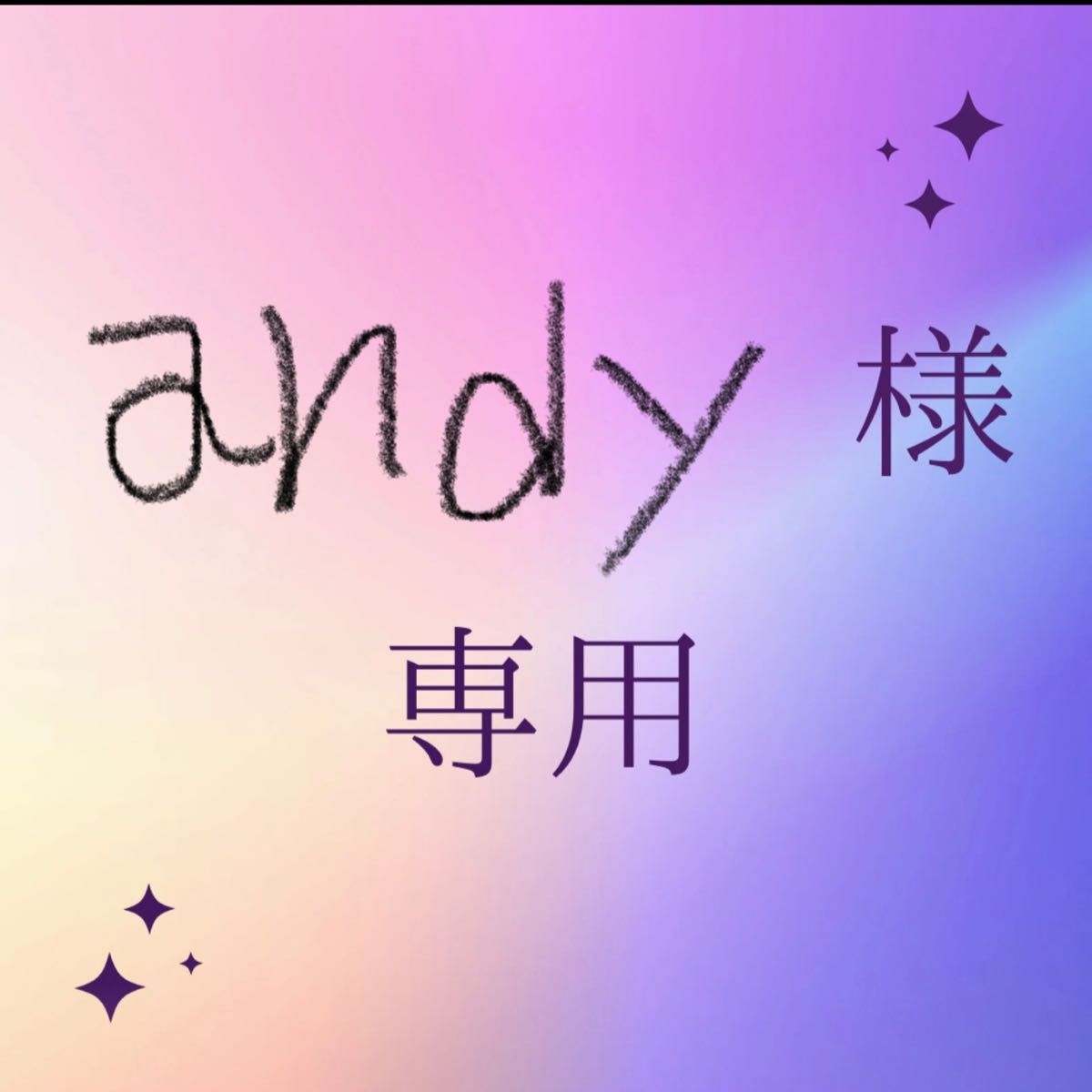 andy様専用ページ｜Yahoo!フリマ（旧PayPayフリマ）