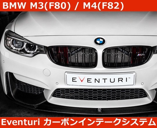 BMW M3 (F80) / M4 (F82) Система впуска карбона Eventuri