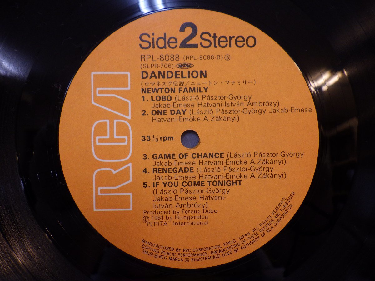 LP レコード 帯 NEWTON FAMILY ニュートン ファミリー dandelion ロマネスク伝説 【E+】 D14934W_画像5