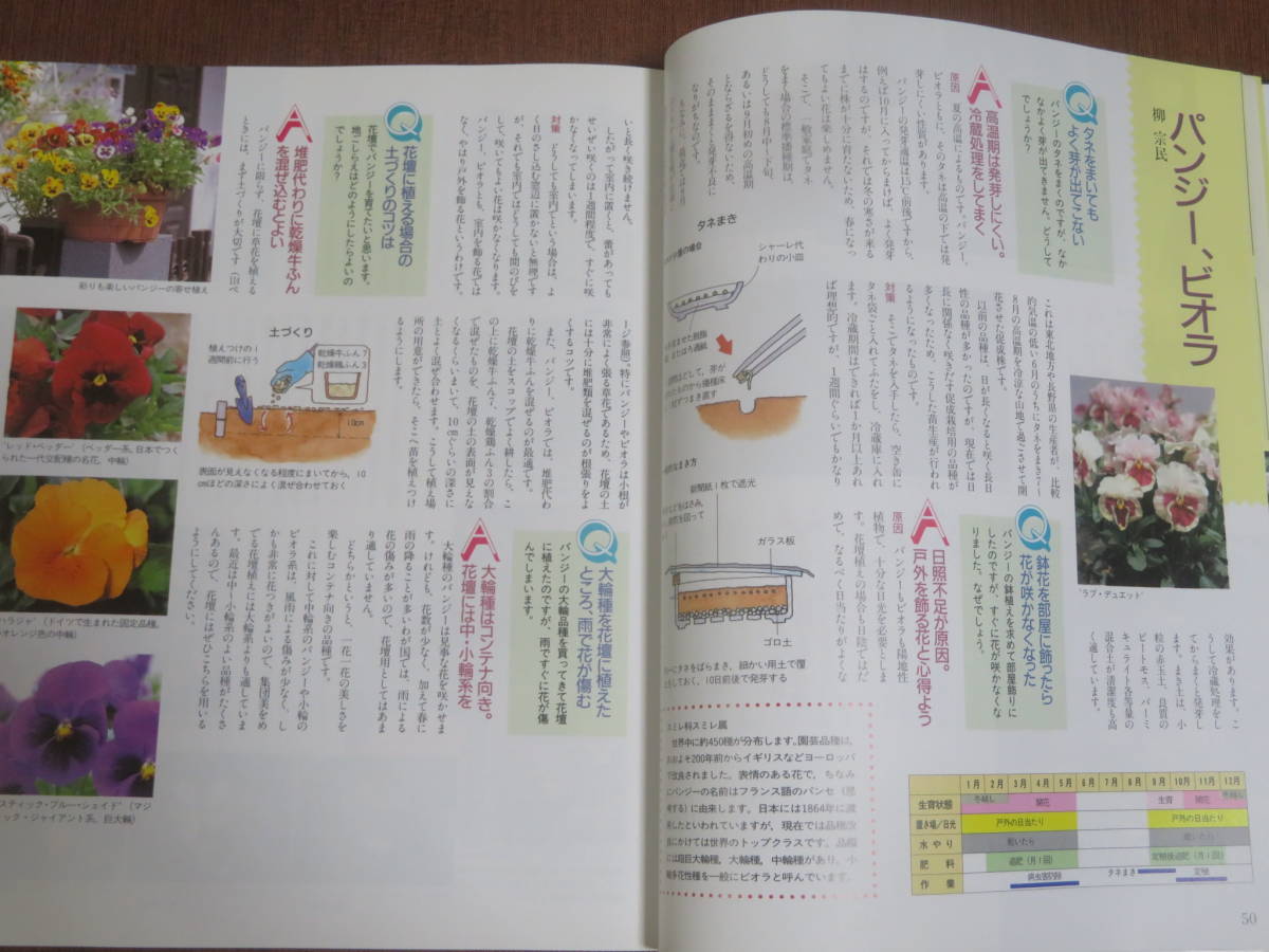 新・園芸クリニック　　③　鉢花・草花　　　別冊NHK趣味の園芸　2001年　10刷　　サボテン・多肉植物・芝生　　すぐに役立つQ＆A_画像4