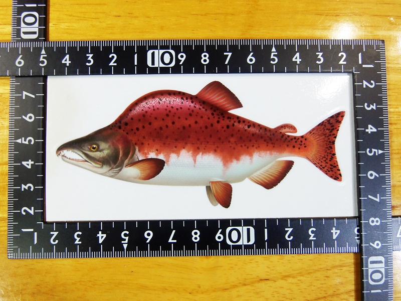  salmon форель стикер 13×6 (cm) Salmon03 [ fly шерсть игла рыбалка рыба . лосось рыбалка ]