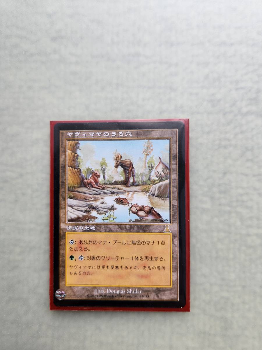 【美品】MTG　　ヤヴィマヤのうろ穴 日本語版_画像1