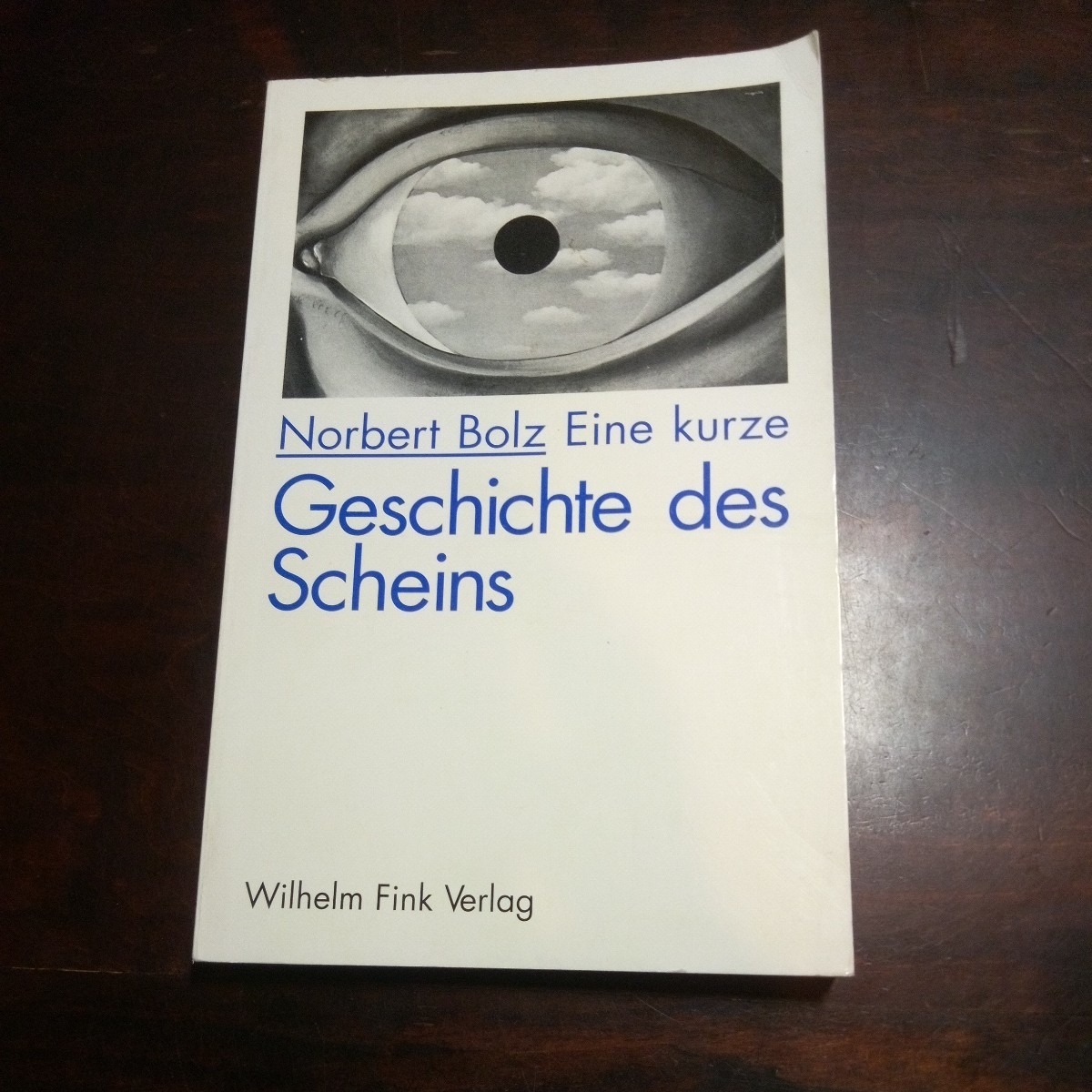 ノルベルト・ボルツ　光の歴史　ドイツ語　洋書_画像1