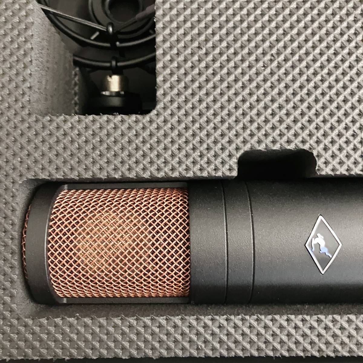 Antelope audio/ edge duo/ Microphone アンテロープオーディオ/マイク