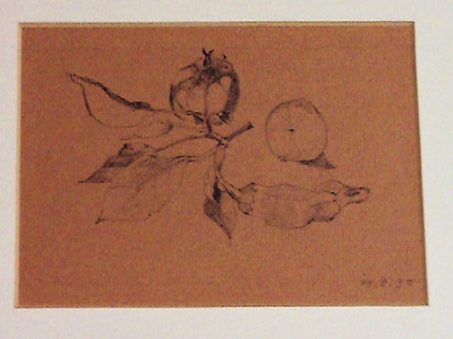 * delivery!*te sun .[ still-life picture | vegetable . fruit ]* autograph guarantee * author un- details!