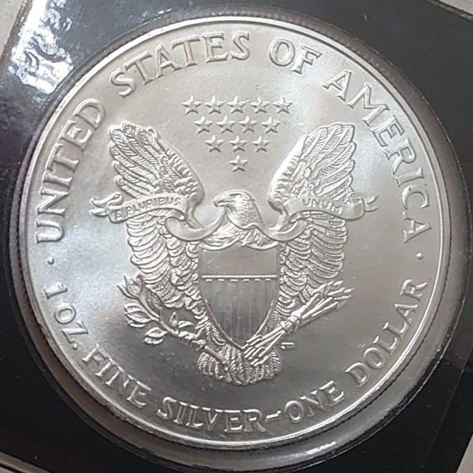 シルバー 純銀 ウォーキングリバティ1995 1oz 1オンス 1995年アメリカ銀貨 1オンス銀貨 ウォーキングリバティ シルバー