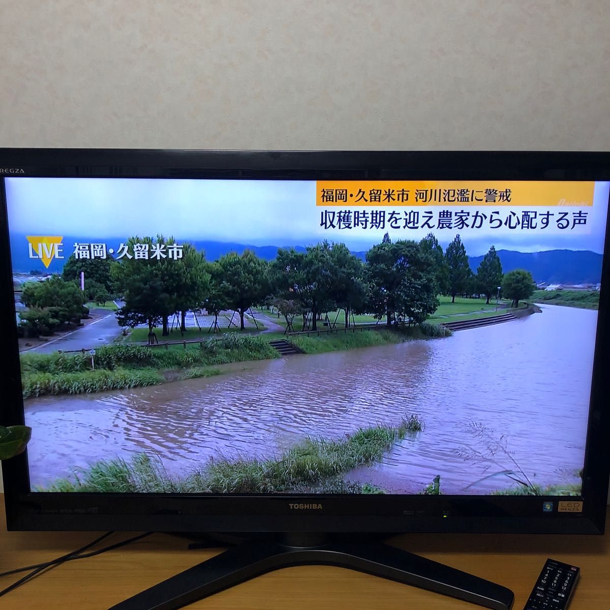 TOSHIBA LED REGZA ZG1 42型 液晶テレビ 送料無料|Yahoo!フリマ TOSHIBA LED REGZA ZG1 42型 液晶テレビ 送料無料|Yahoo!フリマ
