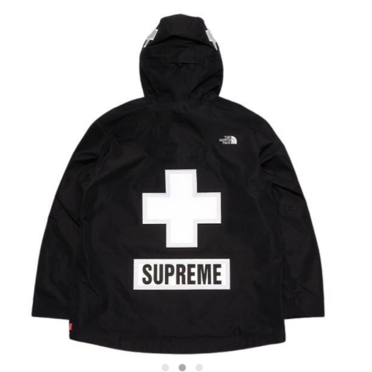 Supreme / The North Face Summit Series Rescue Mountain Pro Jacket