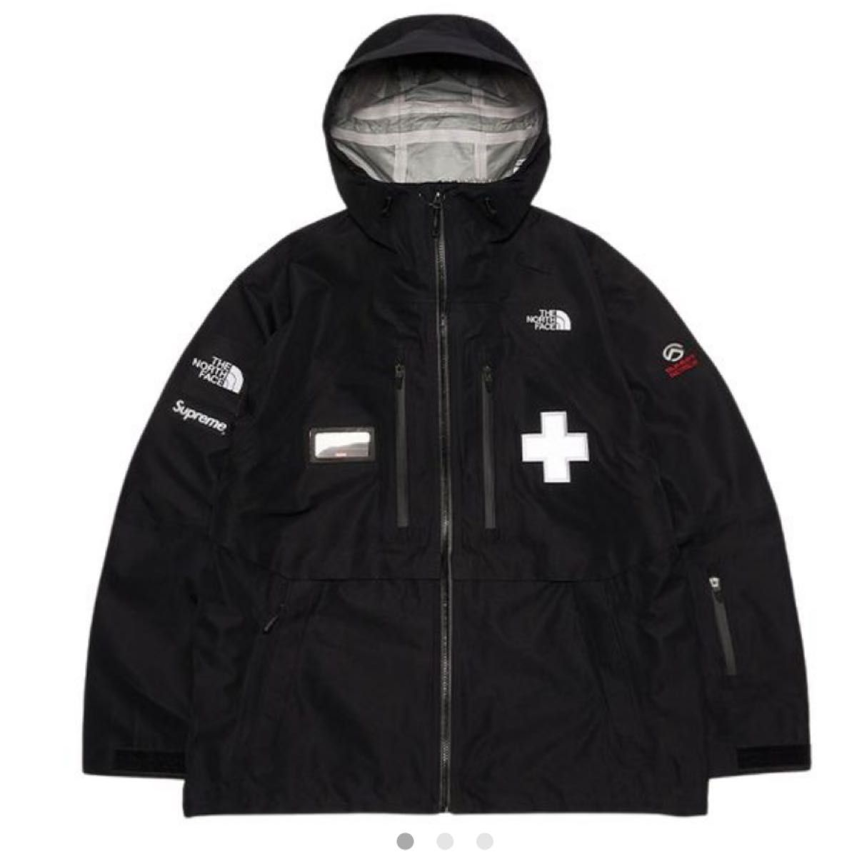 Supreme / The North Face Summit Series Rescue Mountain Pro Jacket