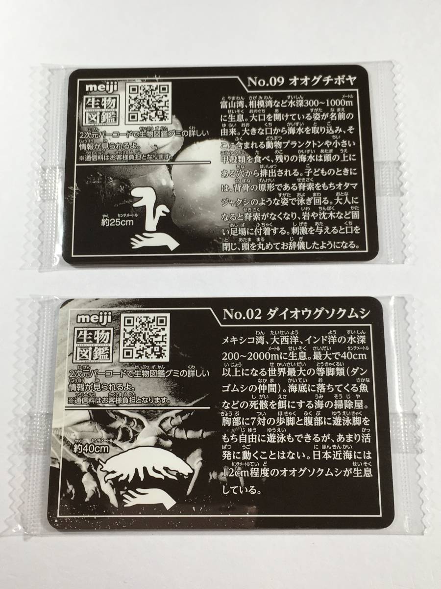 カード/meiji生物図鑑2枚おまとめ/No.ダイオウグソムシNo09オオグチボヤ/未開封品の画像2