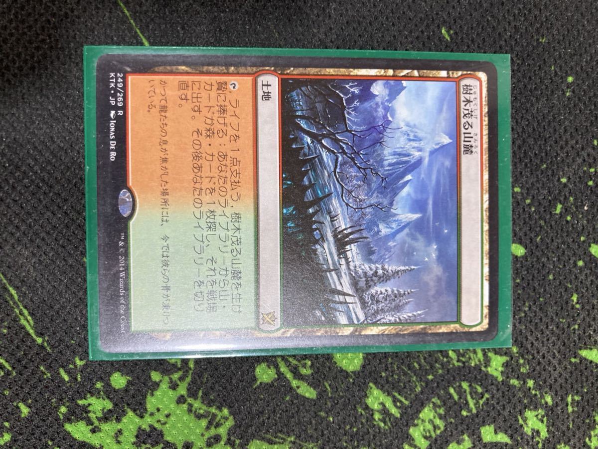 MTG foil 樹木茂る茂る山麓 ①-