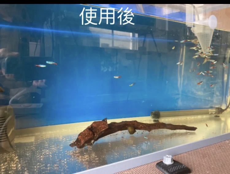 最新人気 業者様愛され高品質納豆菌入り多孔質角棒ろ材 20 4新品未使用