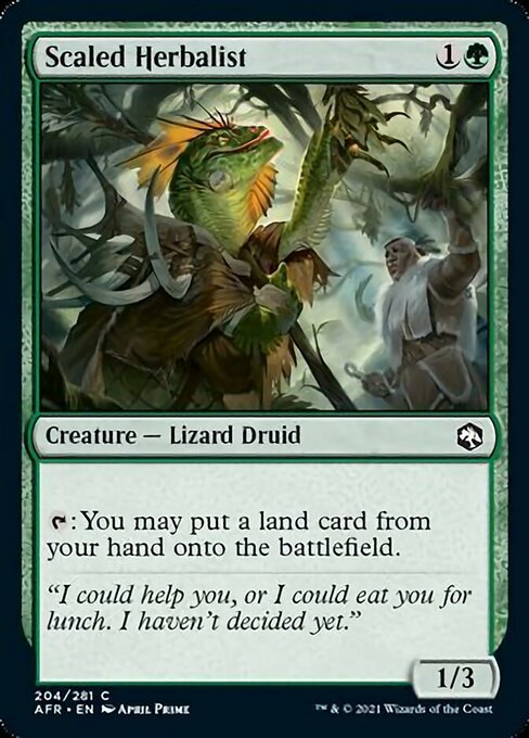 MTG ■緑/英語版■ 《鱗の薬草医/Scaled Herbalist》★FOIL★フォーゴトン・レルム探訪　AFR_画像1