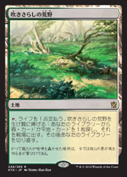 MTG ■土地/日本語版■《吹きさらしの荒野/Windswept Heath》★FOIL★ タルキール覇王譚 KTK_画像1