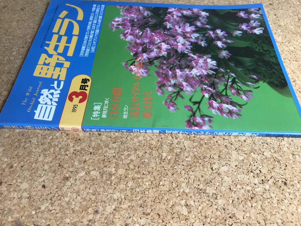  природа .. сырой Ran 1995 год 3 месяц номер * весна орхидея yukiwali saw креветка ne* садоводство JAPAN