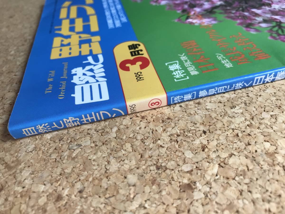  природа .. сырой Ran 1995 год 3 месяц номер * весна орхидея yukiwali saw креветка ne* садоводство JAPAN