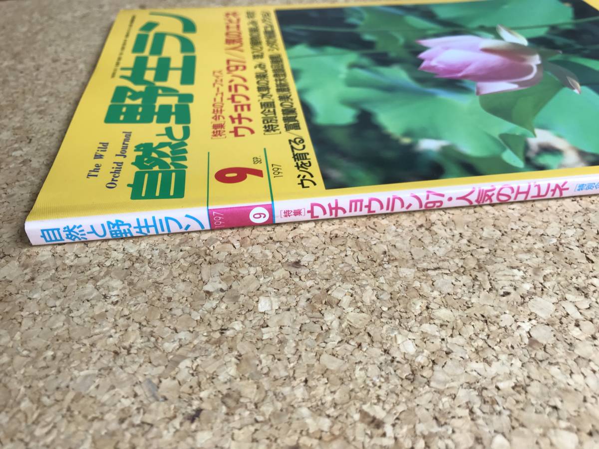  природа .. сырой Ran 1997 год 9 месяц номер *uchou Ran хоста водоросли sida Dendrobium moniliforme богатство и знатность орхидея * садоводство JAPAN