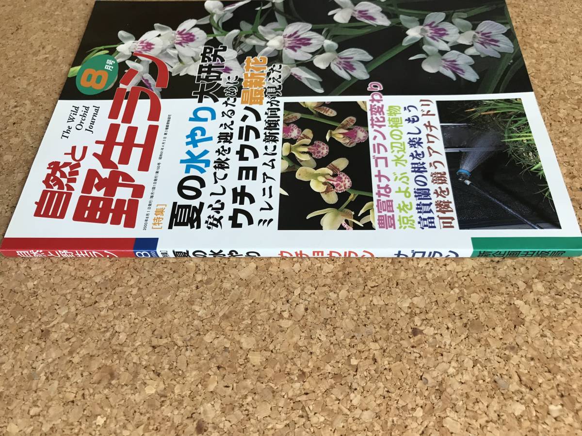 自然と野生ラン 2000年8月号　※ ウチョウラン ナゴラン 富貴蘭 アワチドリ ※ 園芸JAPAN_画像4