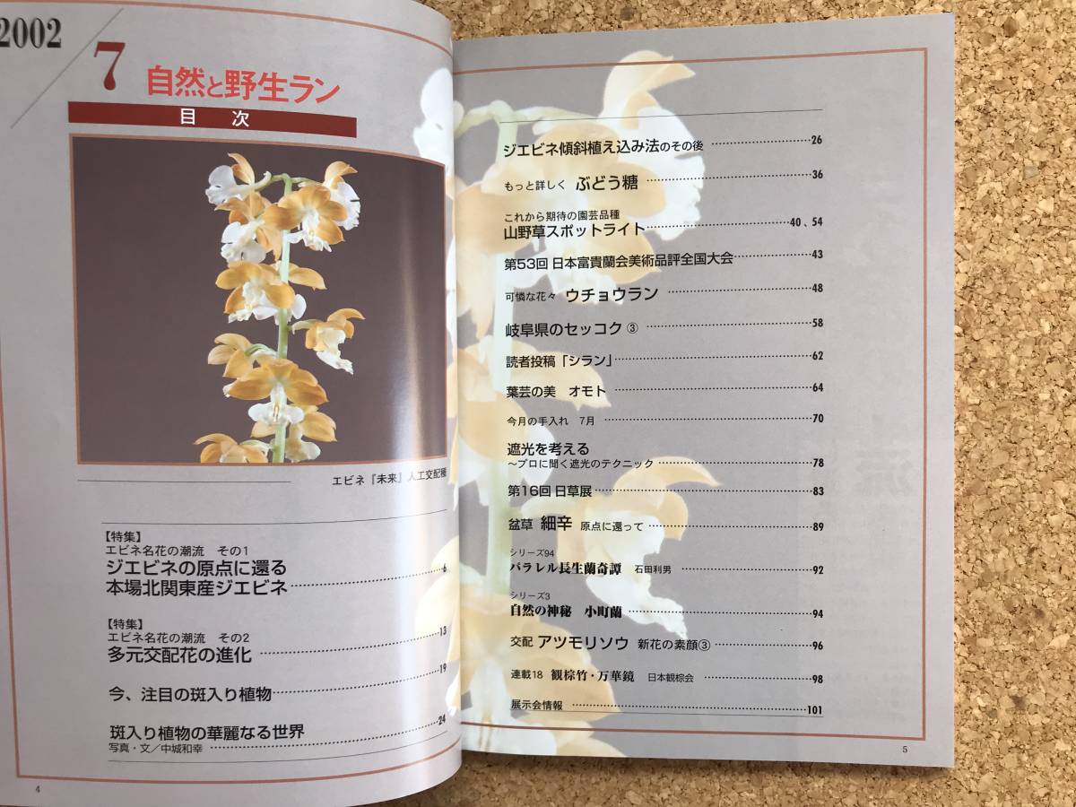  природа .. сырой Ran 2002 год 7 месяц номер * креветка ne богатство и знатность орхидея uchou Ran * садоводство JAPAN