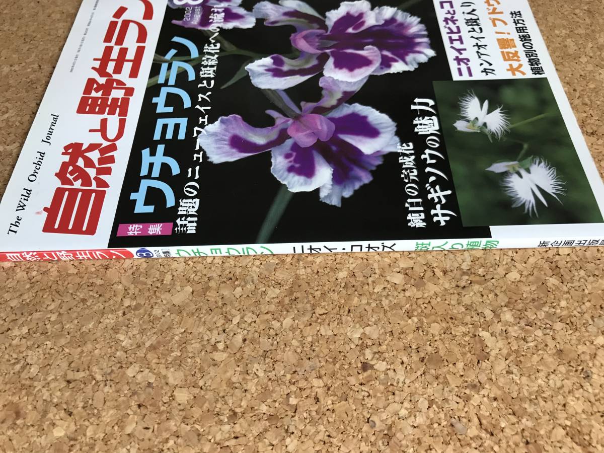  природа .. сырой Ran 2002 год 8 месяц номер *uchou Ran креветка nesagi saw can AOI * садоводство JAPAN