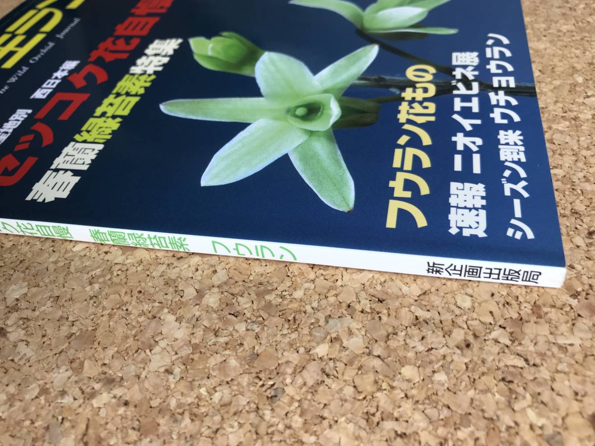  природа .. сырой Ran 2004 год 6 месяц номер * Dendrobium moniliforme весна орхидея fu Ran креветка neuchou Ran * садоводство JAPAN
