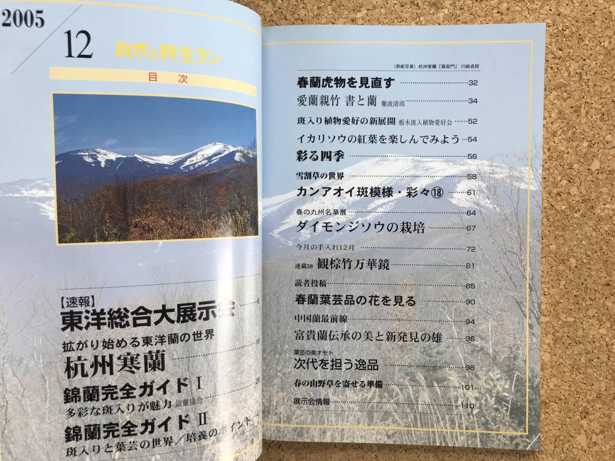 自然と野生ラン 2005年12月号　※ 寒蘭 錦蘭 春蘭 ※ 園芸JAPAN_画像3