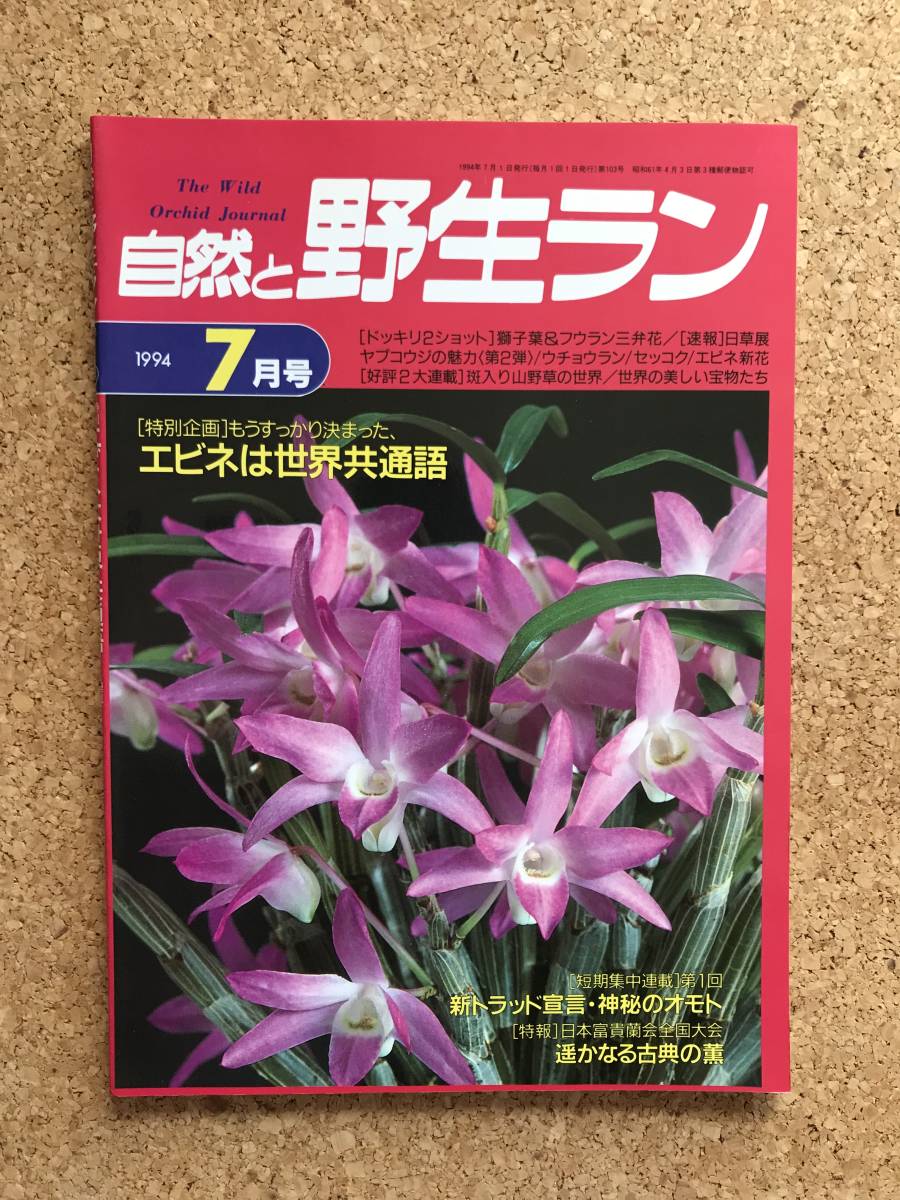 自然と野生ラン 1994年7月号　※ エビネ ヤブコウジ 富貴蘭 セッコク オモト ※ 園芸JAPAN_画像1