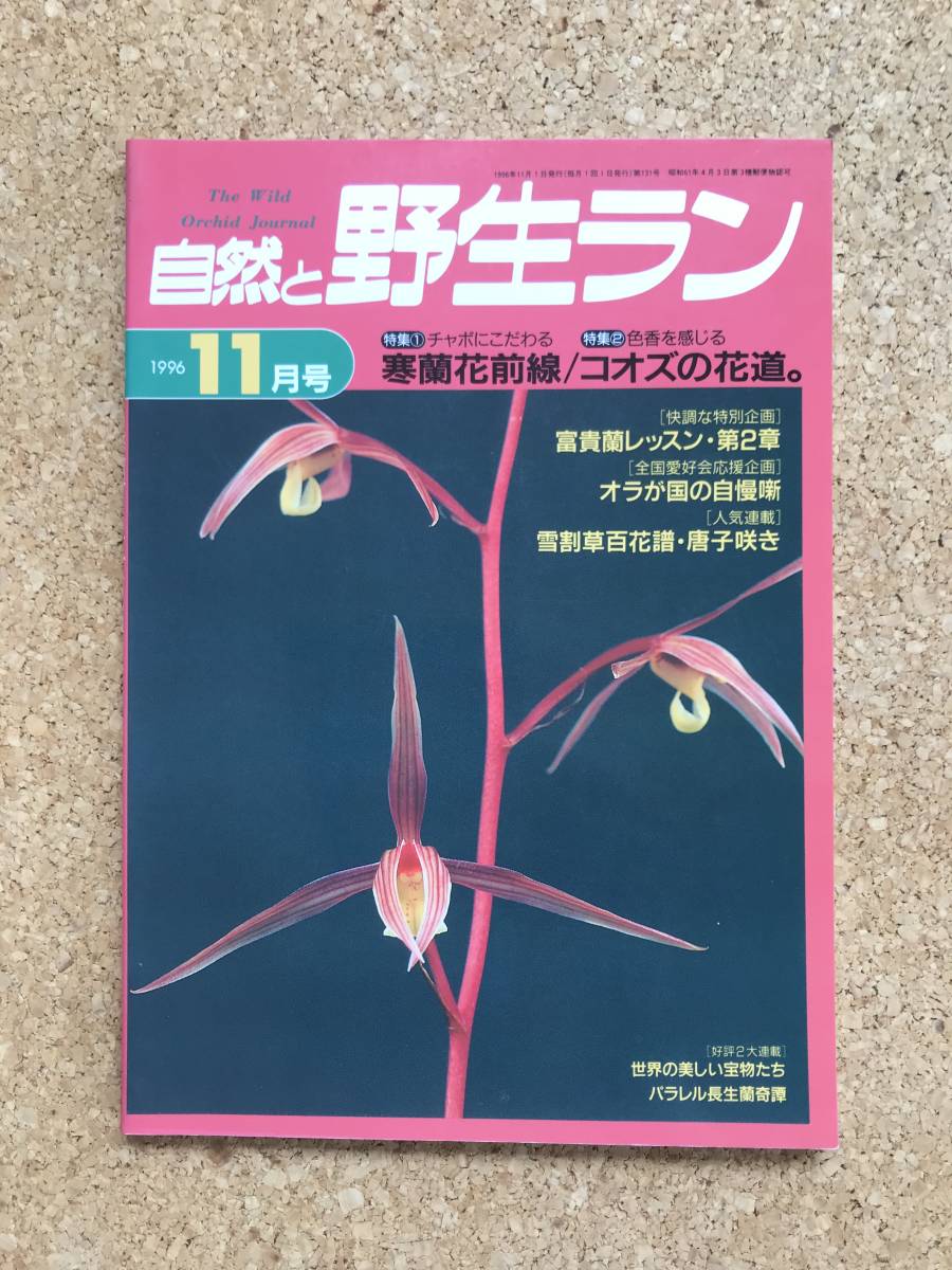自然と野生ラン1996年11月号※ 寒蘭富貴蘭長生蘭雪割草エビネ大文字草