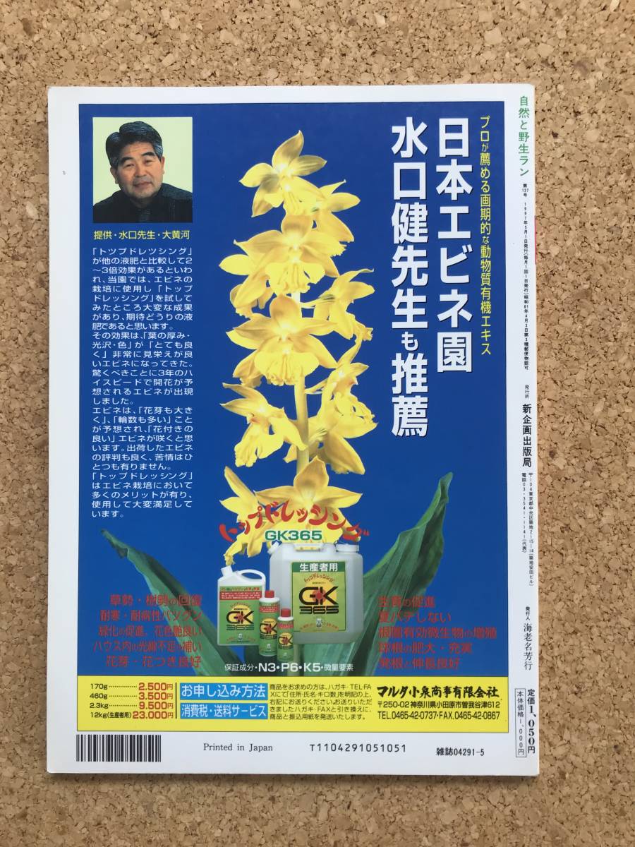  природа .. сырой Ran 1997 год 5 месяц номер * креветка ne весна орхидея снег сломан . Dendrobium moniliforme * садоводство JAPAN