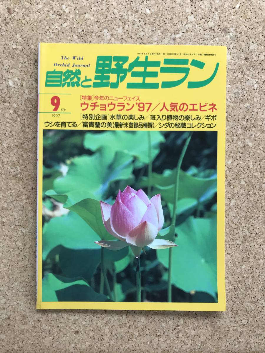  природа .. сырой Ran 1997 год 9 месяц номер *uchou Ran хоста водоросли sida Dendrobium moniliforme богатство и знатность орхидея * садоводство JAPAN