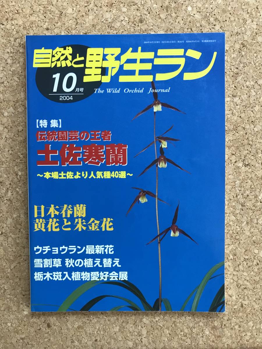  природа .. сырой Ran 2004 год 10 месяц номер * холод орхидея весна орхидея uchou Ran снег сломан .* садоводство JAPAN