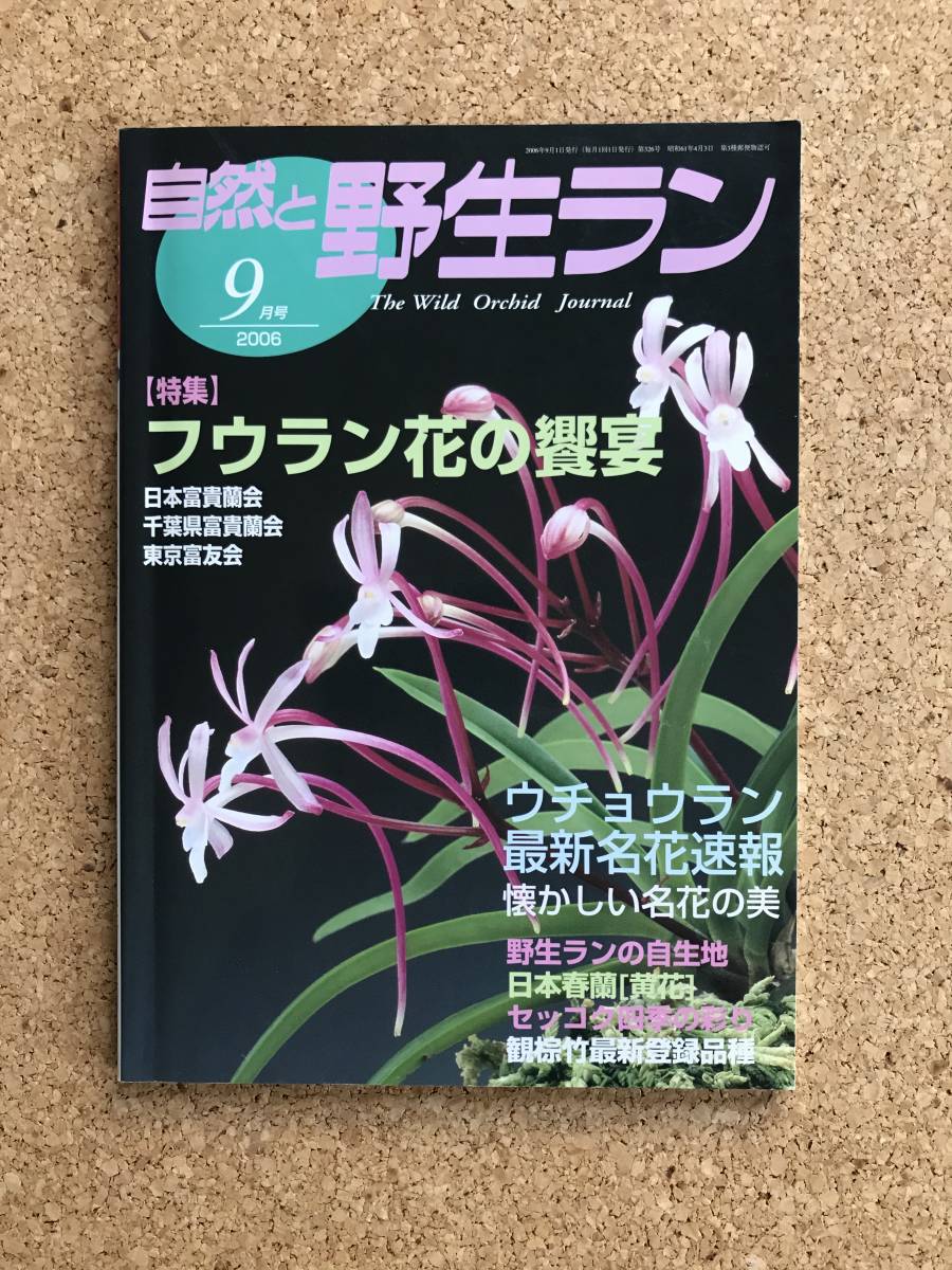  природа .. сырой Ran 2006 год 9 месяц номер * богатство и знатность орхидея uchou Ran весна орхидея Dendrobium moniliforme * садоводство JAPAN