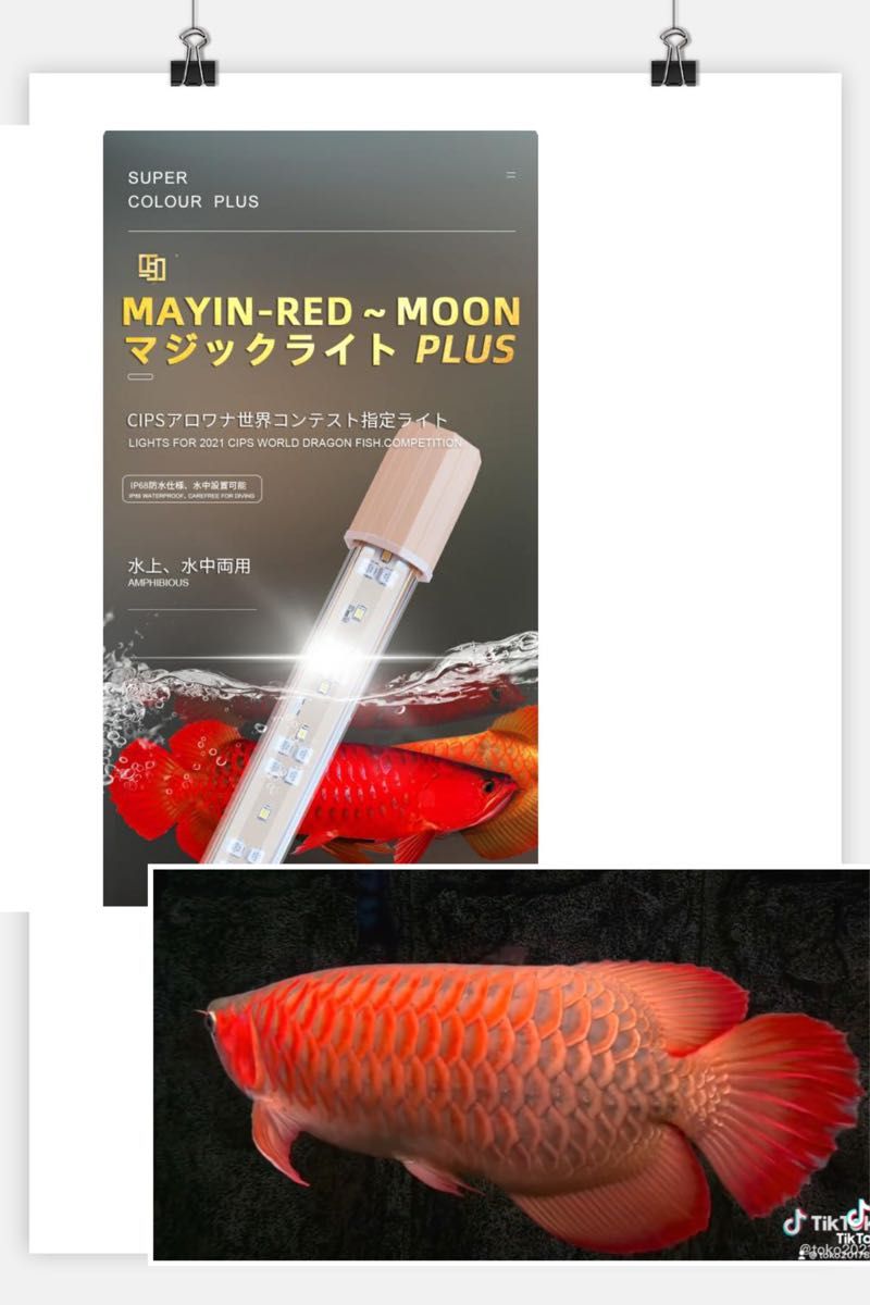 MAYIN 色揚げ ライト スネークヘッド 紅龍 金龍 ナイトメロー LED4*2列 水中蛍光灯アクアリウム熱帯魚 金魚 発色赤く