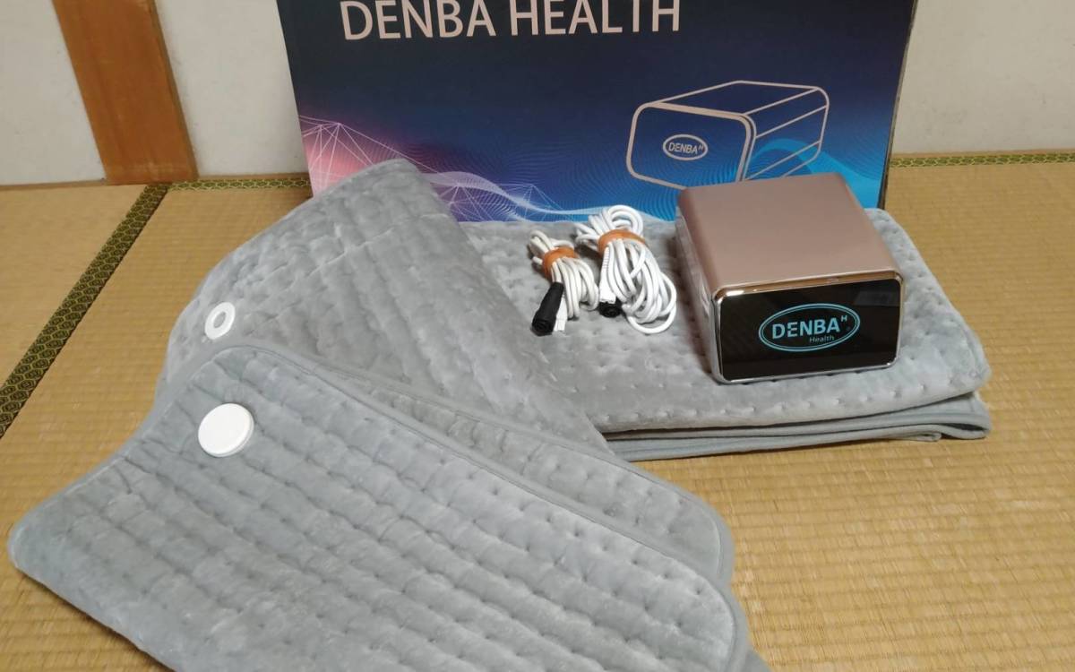 DENBA health(デンバヘルス)スタンダードタイプ 購入価格540.000円を1円～