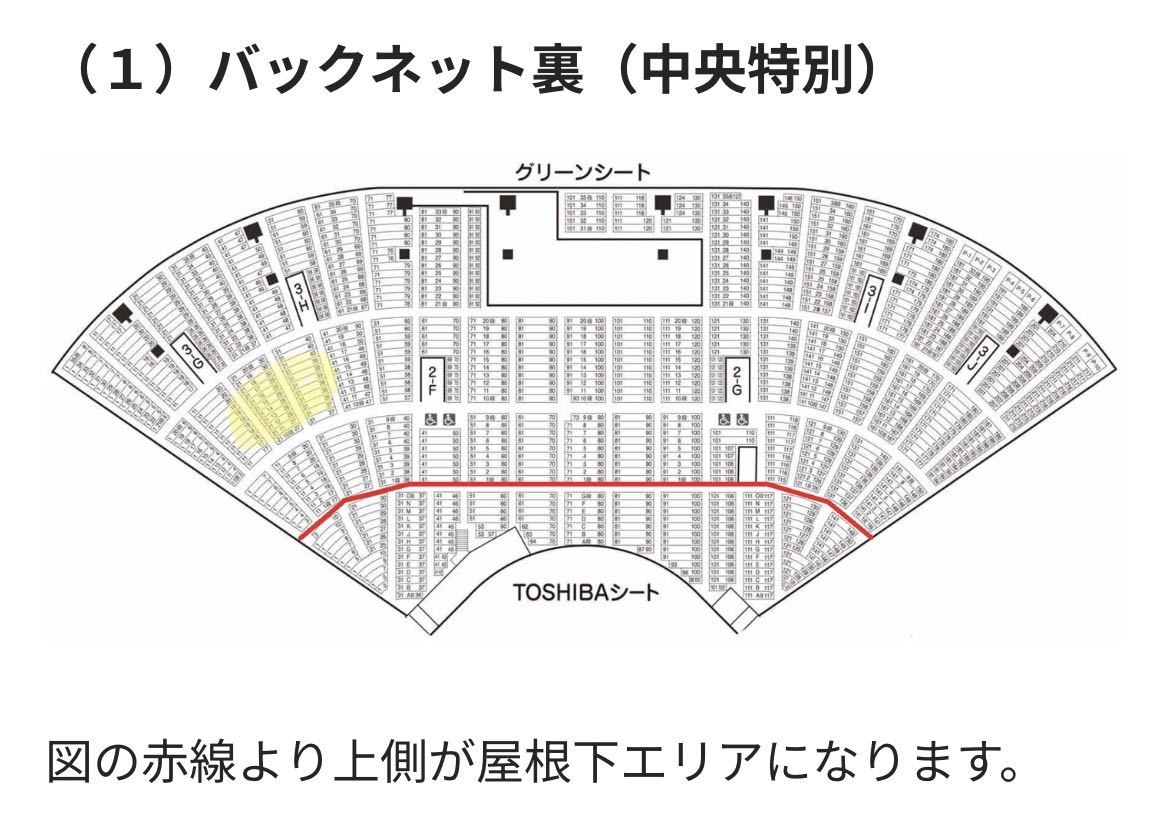 第105回全国高校野球選手権記念大会 甲子園 開会式 チケット 8月6日 2